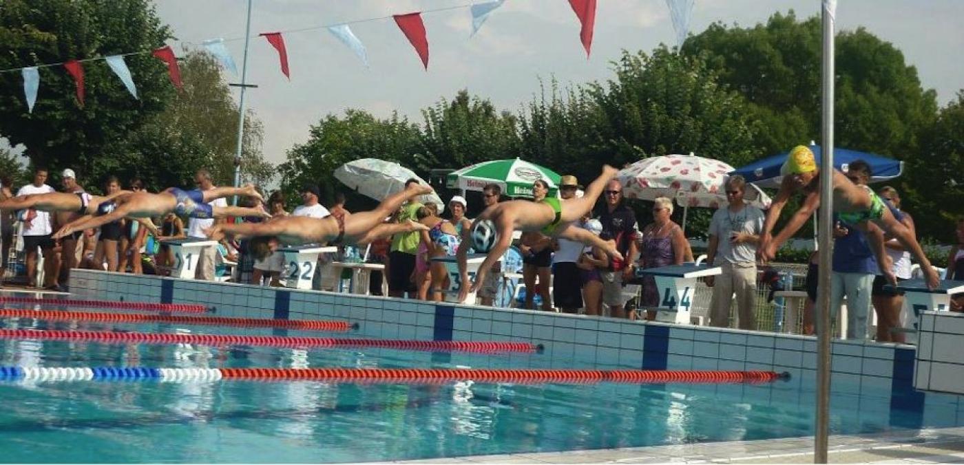 Plongeon nageurs ABN